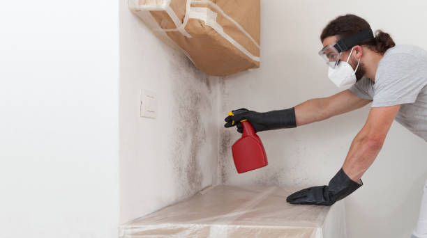 Professional Bathroom Mold Removal technician working in Carrsville, VA