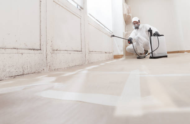 24/7 Emergency Bathroom Mold Removal experts in Carrsville, VA