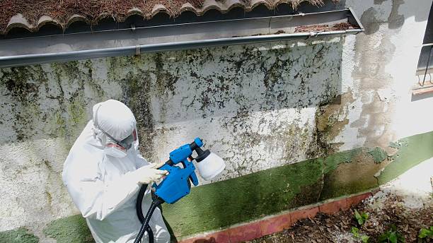 Top rated local Bathroom Mold Removal specialists in Carrsville, VA